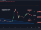 DOGE Crashes 8% Daily, How Low Can it Drop? (Dogecoin Price Analysis)